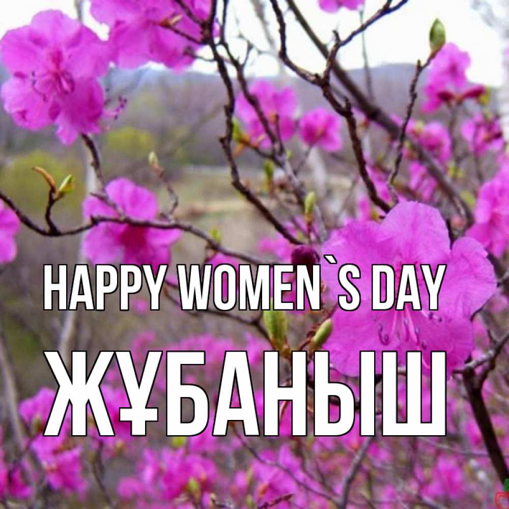 Greetings card с именем, Жұбаныш happy women`s day международный женский день Greetings with text for free download 
